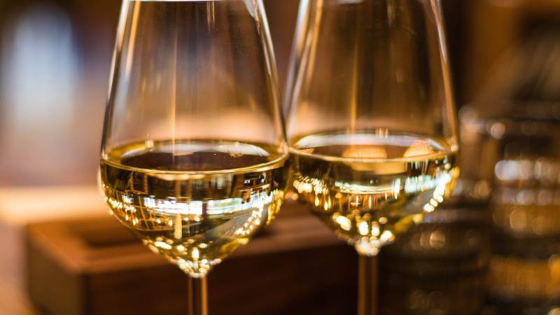Hotel-Arcom-Palace-Pomezia-Enogastronomia-4